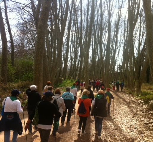 caminada-port.JPG