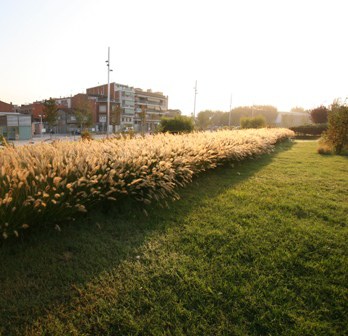 Mollet, exemple de jardineria sostenible .