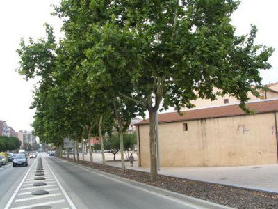 Tractament fitosanitari en carrers i equipaments.