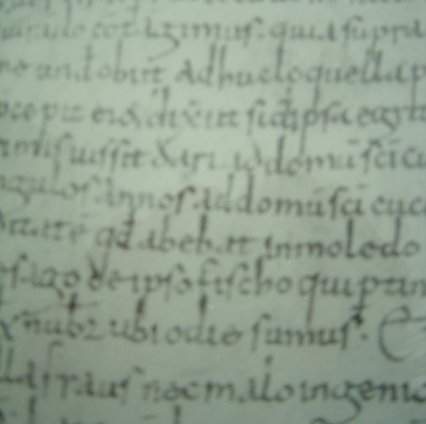 document-Moledo2.JPG