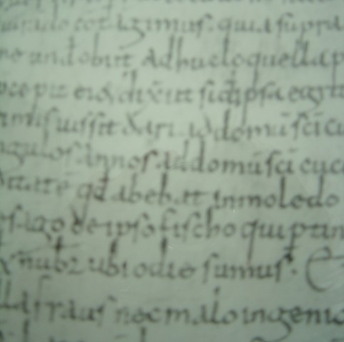 document-Moledo2.JPG
