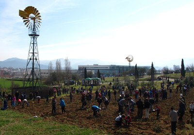 Aquest diumenge se celebra una nova edició de la Festa de l'arbre.