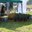 P1020058-port.JPG