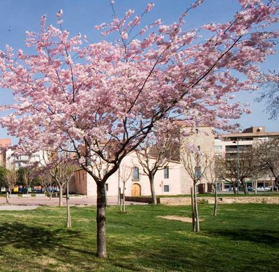 Diumenge es celebra la Festa de la Primavera al parc de Can Borrell.