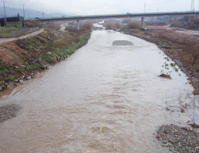 Gairebé 500 alumnes de Mollet participen al programa educatiu Viu el Besòs.