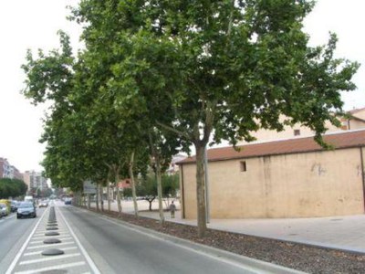 Tractament fitosanitari en carrers i equipaments.