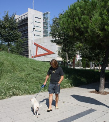 L'Ajuntament vetlla pels animals de companyia.