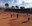 Arriba la tercera jornada esportiva dels alumnes de primària 