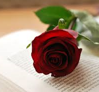 Els llibres i les roses tornaran a omplir Mollet .