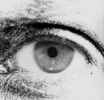 Imatge del catàleg de l'exposició