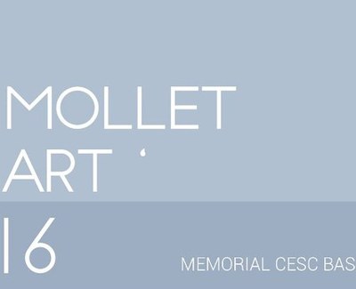 El jurat de MolletArt'16 escull Sergi Selvas com a guanyador d'aquesta edició.