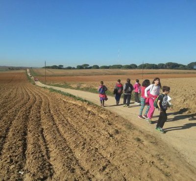 560 alumnes de Mollet participen en una Cursa d'orientació a Gallecs .