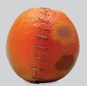 L'Ajuntament de Mollet s'adhereix al Manifest del 25 de Novembre, Dia Internacional per a l'eliminació de la violència envers les dones .