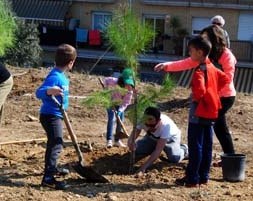 El Parc de la Plana Lledó serà l'escenari de la Festa de l'Arbre del 5 de març.