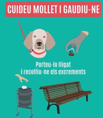 L'Ajuntament sanciona 6 propietaris de gossos per conducta incívica .