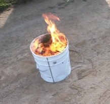 Control preventiu de l'Ajuntament per eradicar la plaga de la processionària .