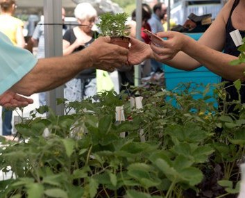 El teixit comercial de Mollet mostra la seva vitalitat .