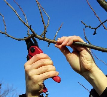 L'Ajuntament ha contractat més de 100 persones a través del Projecte Treball als barris.