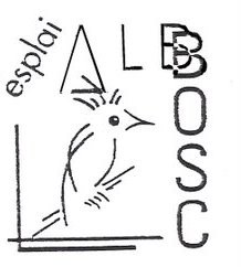 L'equip de karate de l'Associació Alb-Bosc rep la bandera de Mollet Ciutat Europea de l'Esport .