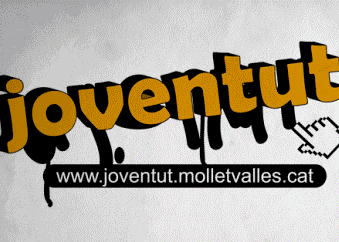 Es posa en marxa el Viver de Projectes, un nou procés participatiu adreçat als joves .