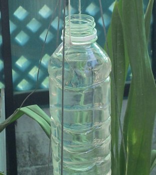 L'Aparador del Museu Abelló inicia la segona etapa del cicle amb la instal·lació Estació Temporal de Rec, de Lara Fluxà.