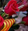 rosa sant jordi2