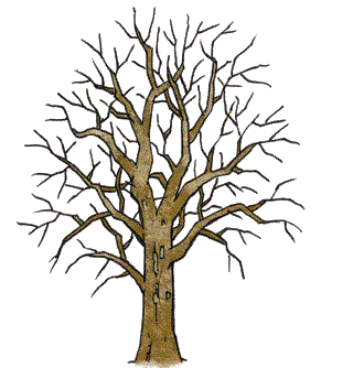 Comença la campanya de poda .