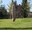 menhir-port.jpg