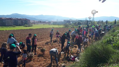 Èxit de participació a la Festa de l’Arbre i la Biodiversitat .