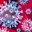 Coronavirus 7