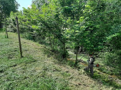L'Ajuntament de Mollet contra el canvi climàtic, apostant per la biodiversitat a la Riera Seca al seu pas per Lourdes.