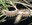 images7