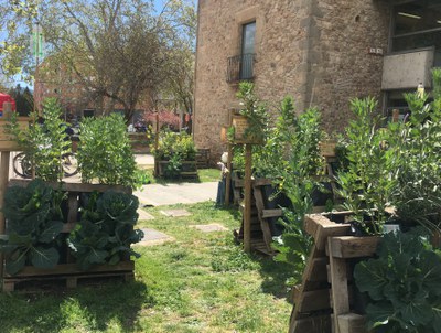 Mollet participa en els preparatoris de la Conferència Internacional pel Clima de Nacions Unides .