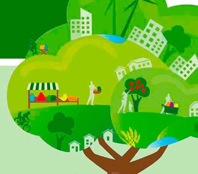 not01 sem 39 CEMAS 1