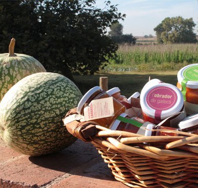 Mollet dona a conèixer la seva política alimentària al Fòrum Global del Pacte de Política Alimentària Urbana de Milà .