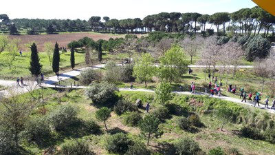 L’Ajuntament i el Servei de Rehabilitació Comunitària de l’Hospital inicien un projecte d’apadrinament al Parc dels Pinetons .