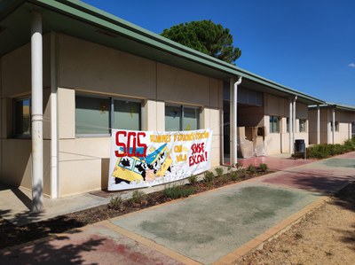 WhatsApp Image 2022 07 01 at 7.36.54 PM