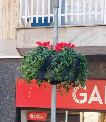  Prova pilot per incrementar els espais florits de Mollet.