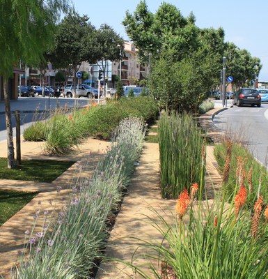 El govern municipal proposa al Ple agilitzar les adjudicacions d’habitatges de la Generalitat.