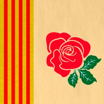 El carrers del centre es van omplir de gent per la diada de Sant Jordi.