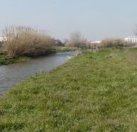 Llera del riu Besòs