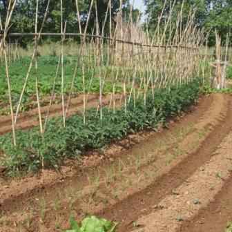 Abocament a Gallecs.