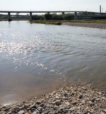Més de 250 alumnes de Mollet participen al programa educatiu Viu el Besòs.