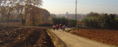 Comencen les Jornades Esportives de Primària.