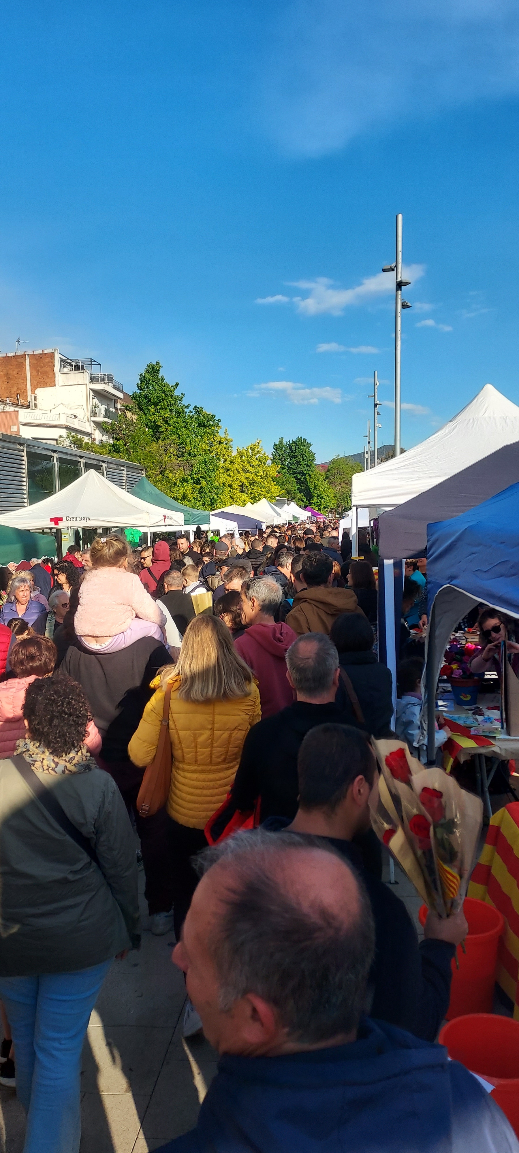 Públic, als estands de Sant Jordi