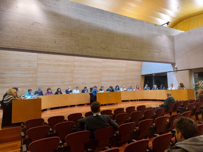 Ple ordinari Ajuntament de Mollet