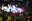 _DSC5972.jpeg