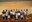 L’ Ajuntament reconeix l’esforç de 8 alumnes brillants de Mollet