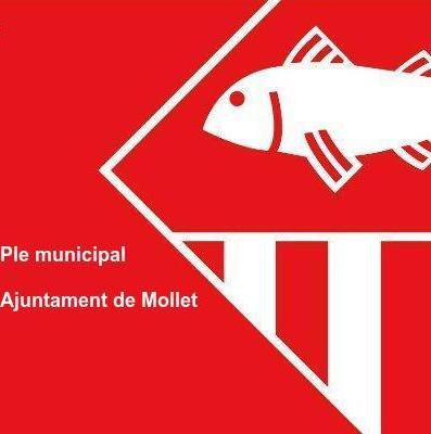 L’Ajuntament de Mollet celebrarà un Ple ordinari el dilluns 26 de juny.