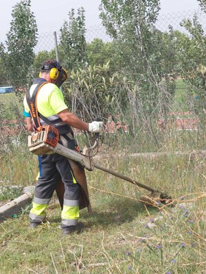 L’Ajuntament de Mollet intensifica els desbrossats de l’espai públic i requereix la neteja de solars a una tretzena de propietaris.